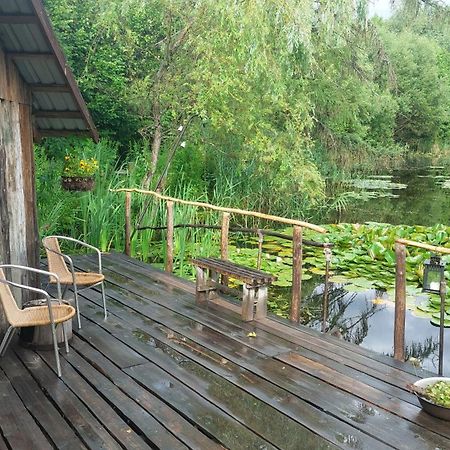Idilliska Latgaliesu Lauku Maja Ar Melno Pirti Villa Aglona Eksteriør bilde