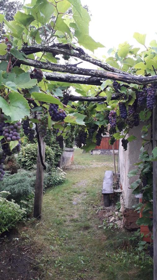 Idilliska Latgaliesu Lauku Maja Ar Melno Pirti Villa Aglona Eksteriør bilde