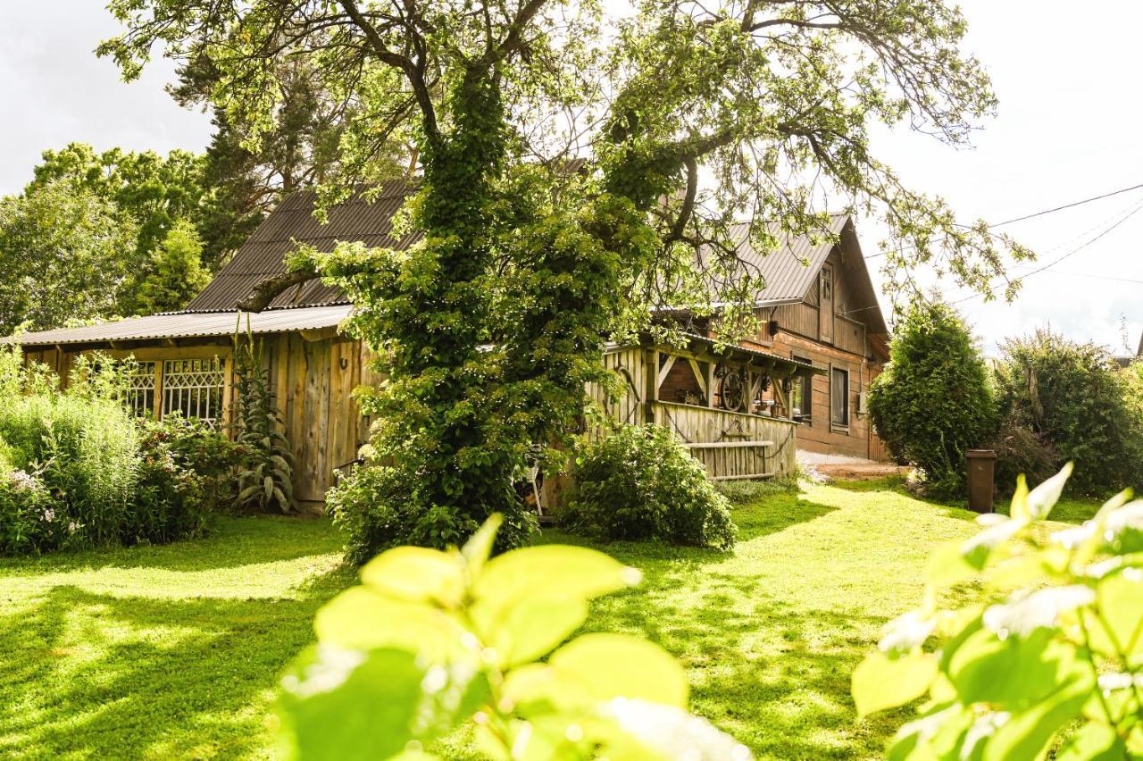 Idilliska Latgaliesu Lauku Maja Ar Melno Pirti Villa Aglona Eksteriør bilde